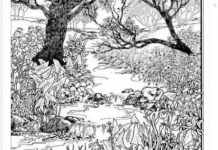 Mnogi su probali, ali nisu uspeli: Svako ko pronađe ženu na fotografiji ima natprosečnu inteligenciju