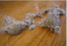 PRAŠINA U STANU ME NERVIRALA, A ONDA MI JE SVEKRVA DALA ODLIČAN RECEPT: Sad Čistim Kuću Trostruko Rjeđe, A SVE BLISTA