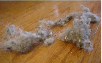 PRAŠINA U STANU ME NERVIRALA, A ONDA MI JE SVEKRVA DALA ODLIČAN RECEPT: Sad Čistim Kuću Trostruko Rjeđe, A SVE BLISTA