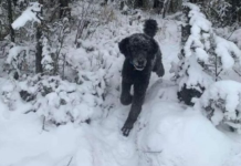 ŠTA STE PRVO VIDELI??? Precizan test ličnosti razotkriće vas za sekund: Sve što ste vešto krili izlazi na videlo