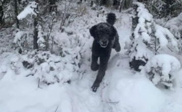 ŠTA STE PRVO VIDELI??? Precizan test ličnosti razotkriće vas za sekund: Sve što ste vešto krili izlazi na videlo