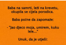 VIC DANA: Baba na samrti