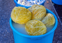 Pitali smo Slobu, profesionalnog kuvara kako je najbolje ukiseliti kupus: Uz ovaj savet trajaće do sledećeg leta bez skrame