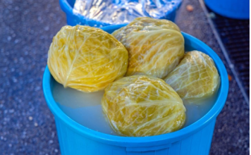 Pitali smo Slobu, profesionalnog kuvara kako je najbolje ukiseliti kupus: Uz ovaj savet trajaće do sledećeg leta bez skrame