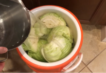 OVAKO SE PRAVILNO KISELI KUPUS: Starinski Recept Koji Provereno Uspeva Čak I Početnicima!