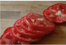 Evo kako čuvati paradajz CIJELE GODINE. Jest ću ga svježeg čak i zimi!