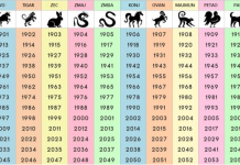 NIJE NI ČUDO ŠTO JE NAJTAČNIJI: Saznajte šta ste u kineskom horoskopu i šta vam poručuje