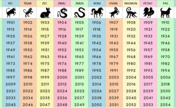 NIJE NI ČUDO ŠTO JE NAJTAČNIJI: Saznajte šta ste u kineskom horoskopu i šta vam poručuje