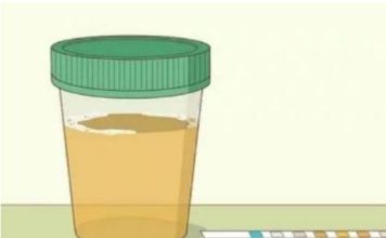 Koliko Puta Dnevno Mokrite? Evo Koliko je Normalno