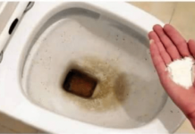 Zaboravite OCAT: Ovaj puder iz kuhinje čisti toalet za par minuta – bez kamenca, žutih mrlja i mirisa!