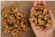 POJEDITE ŠAKU ORAHA I PRIČEKAJTE 4 SATA: Rezultat će vas iznenaditi! Evo šta se događa u vašem tijelu nekoliko sati nakon što ih pojedete!