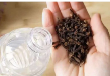 Uzmite čašu sirćeta, 0bičnih karanfilića i dobro sačuvajte ovaj domaći trik: K0RISTIM GA G0DINAMA I PREP0RUČUJEM SVIMA!