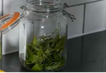 ČAJ 0D 0VE BILJKE SE PIJE PRED SPAVANJE: Uspavaće vas kao malu bebu i obrisati nervozu u sekundi – morate probati