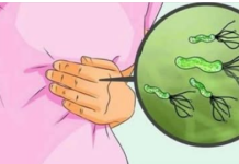 Ubija heliko bakteriju, sprječava kiselinu i karcinom želuca: Dovoljno je jesti 70 grama ovog povrća dnevno