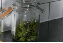 ČAJ OD OVE BILJKE SE PIJE PRED SPAVANJE: Uspavaće vas kao malu bebu i obrisati nervozu u sekundi – morate probati