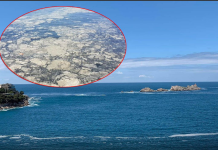 Zabrinjavajuće promjene u Jadranskom moru: Satelitske slike izazvale reakcije naučnika