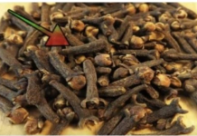 TO JE RAZLOG zašto sam počeo žvakati klinčiće svaki dan: Moram zahvaliti majčinoj ljekarnici na ovom sjajnom SAVJETU