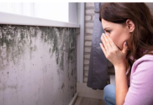 Nikada se ne biste sjetili: Vlage i buđi se najlakše možete riješiti ovim začinom