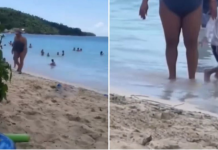 Snimak sa plaže koji ljudi gledaju po 10 puta zaredom: “Možete da kažete šta hoćete, ali ja joj skidam kapu”