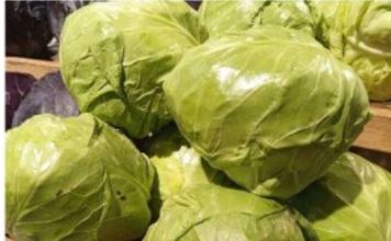 Trik za kiseli kupus: Brže se ukiseli, ne buđa i ima puniji ukus, sve zbog 1 neočekivanog sastojka