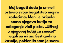Moj bogati deda je preminuo i celokupno svoje bogatstvo ostavio mojim rođacima…