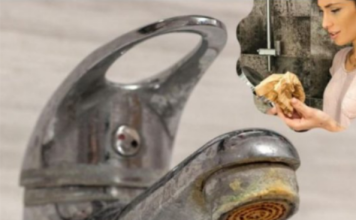 Trik za ČIŠĆENJE KAMENCA se širi kao zaraza: Poznata influenserka otkrila caku – ne treba vam NI VODA, samo 1 stvar koju SVI imamo