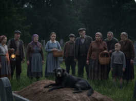 Pas se nije micao danima – a kada su videli šta je unutra nisu mogli da veruju