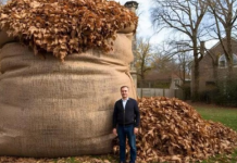 NIKAD ne bacaj jesensko lišće! EVO ZAŠTO