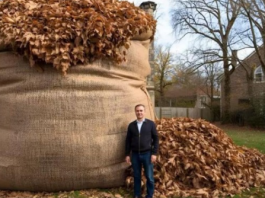 NIKAD ne bacaj jesensko lišće! EVO ZAŠTO