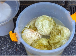 Ako se uhvati bijela skrama morate ga baciti? 3 najčešće greške zbog kojih se kiseli kupus pokvari