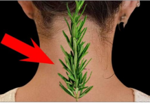 Nisam mogla da se uspravim zbog bolova u vratu i leđima – Evo kako mi je običan ruzmarin pomogao!