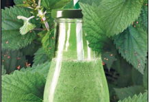 Ovaj napitak od koprive popravlja krvnu sliku, čisti pluća, jetru i žuč – Evo kako da ga napravite!