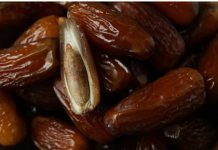 Ne Bacajte Košpice Urmi – Evo Zašto Su Toliko Moćne