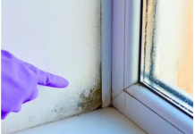 Stručnjak otkrio trik: Evo kako da vaši prozori ove zime ostanu suhi, bez vlage i plijesni