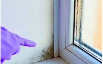 Stručnjak otkrio trik: Evo kako da vaši prozori ove zime ostanu suhi, bez vlage i plijesni