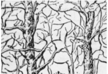 Prva životinja koju vidite na ilustraciji otkriće vam apsolutno sve o vašoj ličnosti i to bez greške