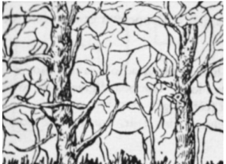 Prva životinja koju vidite na ilustraciji otkriće vam apsolutno sve o vašoj ličnosti i to bez greške