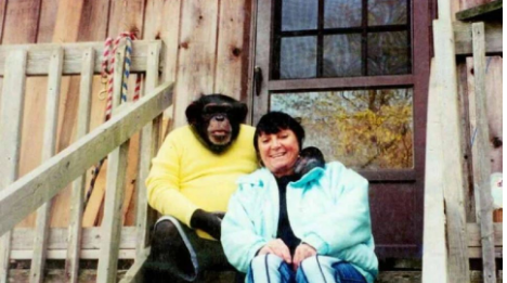 Sandra se godinama kupala i spavala sa šimpanzom ne sluteći šta će joj se desiti: Od užasa koji je doživela ni danas se nije oporavila