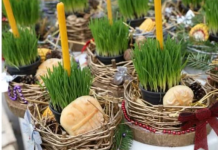 Ako se BOŽIĆNA PŠENICA POSADI NA OVAJ DAN kuća će biti blagoslovena cele godine