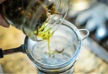 RECEPT ZA PRIRODNO LJEKOVITO ULJE: Prirodni saveznik protiv infekcija