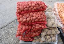 Kako prepoznati krompir pun otrova? Obratite pažnju na ovaj detalj, može vam spasiti život