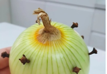 Trik moje bake s lukom činio se čudnim – sve dok nisam otkrio razlog koji stoji iza toga! Nikada više neću kuhati na isti način