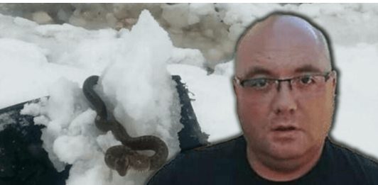 Zmije ispuzale usred zime! Vjeruje se da OVO nije dobar znak, a poznati zmijolovac upozorava – Dobro obratite pažnju na ovo!