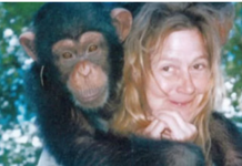 Sandra je godinama gajila šimpanzu i spavala sa njom, ne sluteći šta će je snaći: Taj užas potresao je ceo svet