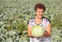 Ovako Slobodanka iz Futoga kiseli kupus: “Ljudi najčešće greše sa količinom soli”