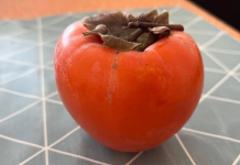 5 stvari koje trebate znati o japanskim jabukama