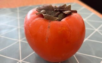 5 stvari koje trebate znati o japanskim jabukama