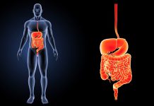 OČISTITE ORGANIZAM: Izbacite višak vode i otrove iz tijela: Domaći probiotik, bolji od bilo kojeg lijeka! (RECEPT)