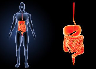 OČISTITE ORGANIZAM: Izbacite višak vode i otrove iz tijela: Domaći probiotik, bolji od bilo kojeg lijeka! (RECEPT)
