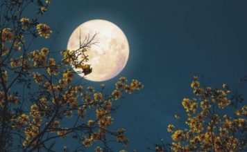 VEČERAS JE DUPLI PUN MJESEC i ZA OVA 3 ZNAKA počinje MAGIČAN PERIOD kakav se dešava jednom u životu